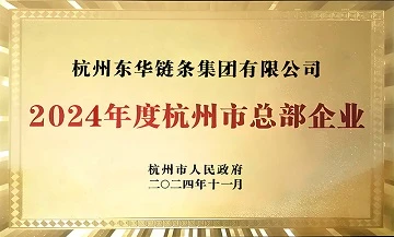 From Hangzhou To The World Donghua Chain Group Was Recognized As Hangzhou Hea...
